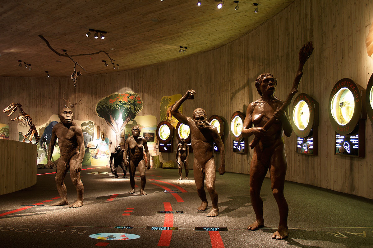 Krapina-Neanderthal-Museum-Croatia